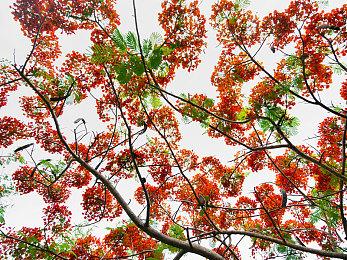 《女神异闻录4：黄金版》后日谈新情报 将是彻底体验P4U的完全版 