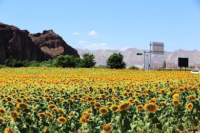 一起来玩大冒险！《快到碗里来》冒险模式介绍
